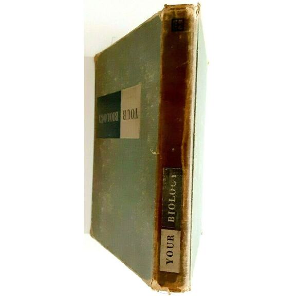 Your Biology 1958 Textbook Vintage Science Diagrams Albany GA High School RARE - Picture 2 of 12